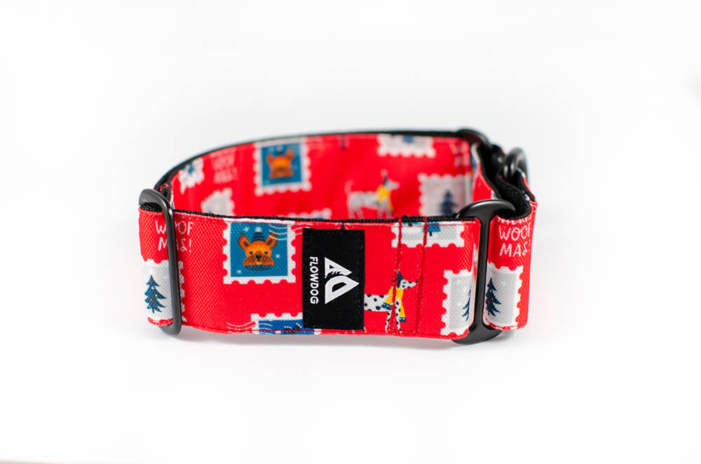 holiday postcard martingale dog collar