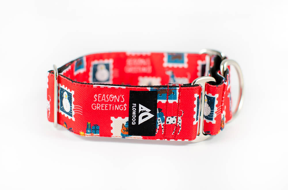 holiday postcard martingale dog collar