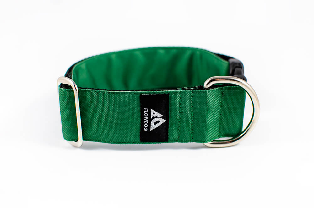 green dog collar with buckle