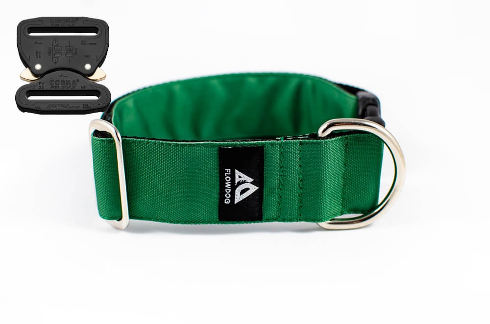 green dog collar with austrialpin buckle