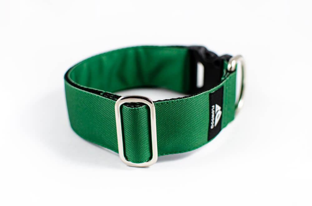 green dog collar with buckle