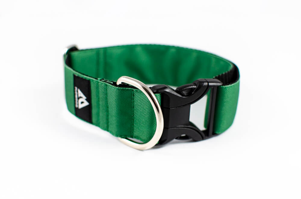 green dog collar with buckle