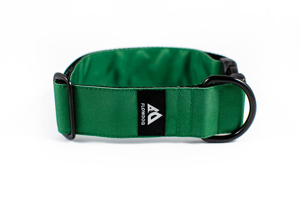 green dog collar with buckle