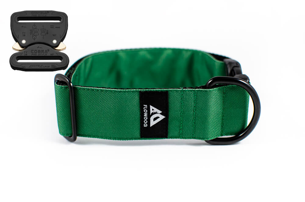 green dog collar with austrialpin buckle