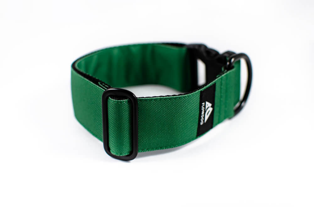 green dog collar with buckle