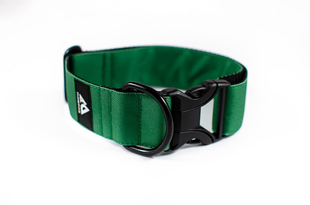 green dog collar with buckle