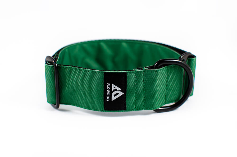 green slip-on dog collar