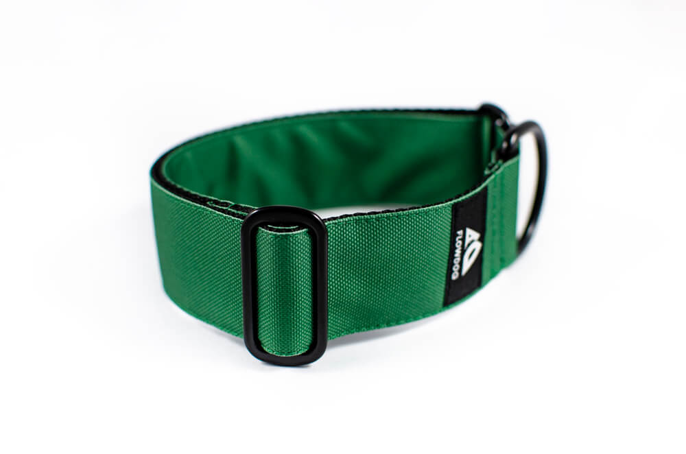 green slip-on dog collar