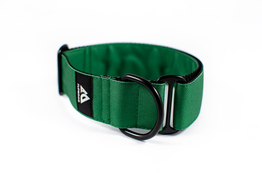 green slip-on dog collar