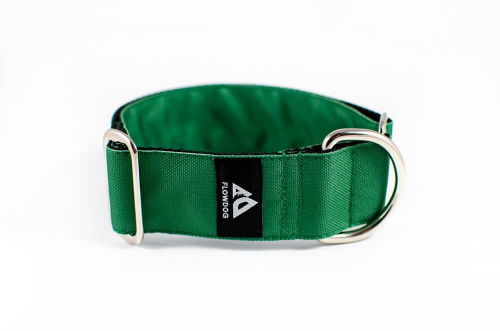 green slip-on dog collar