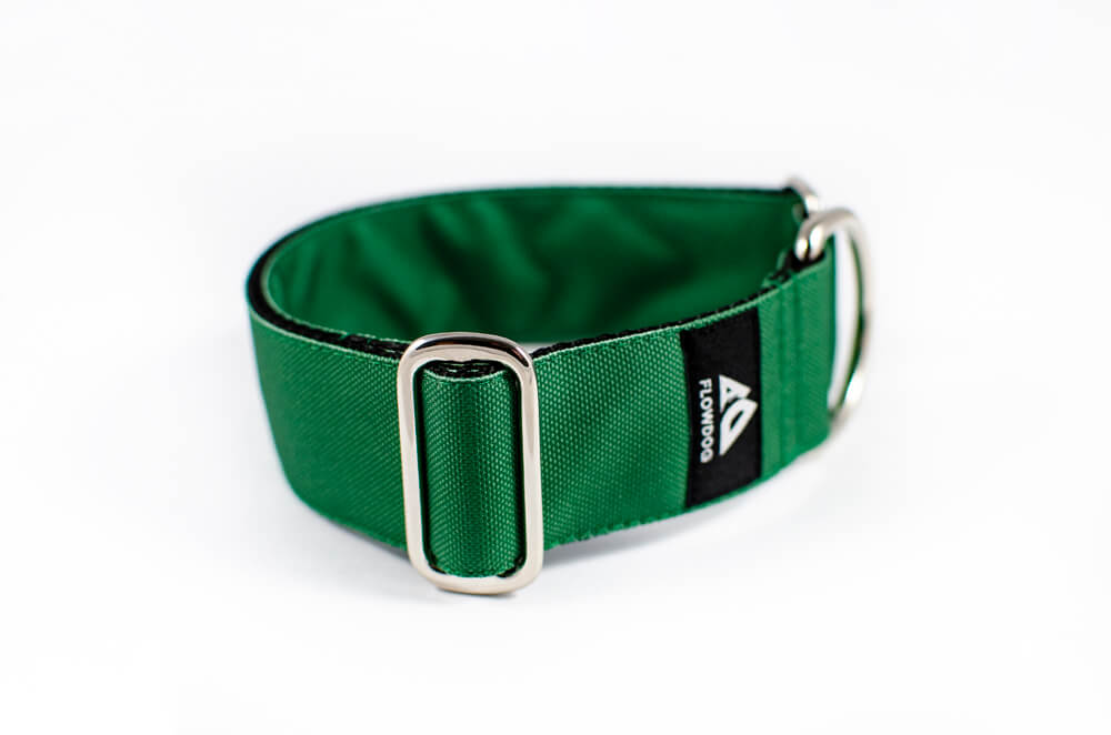 green slip-on dog collar