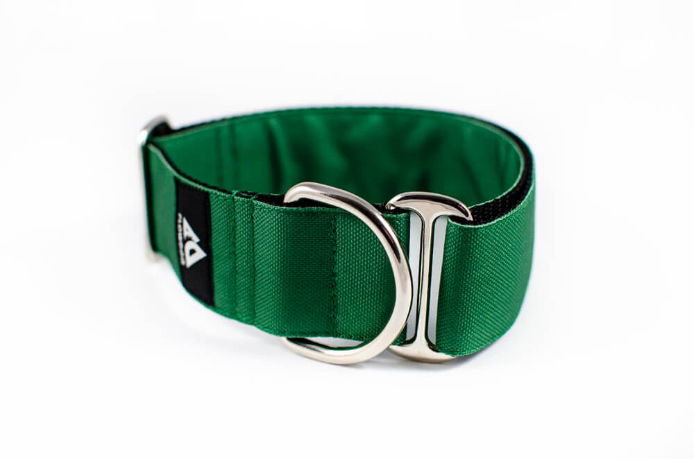 green slip-on dog collar