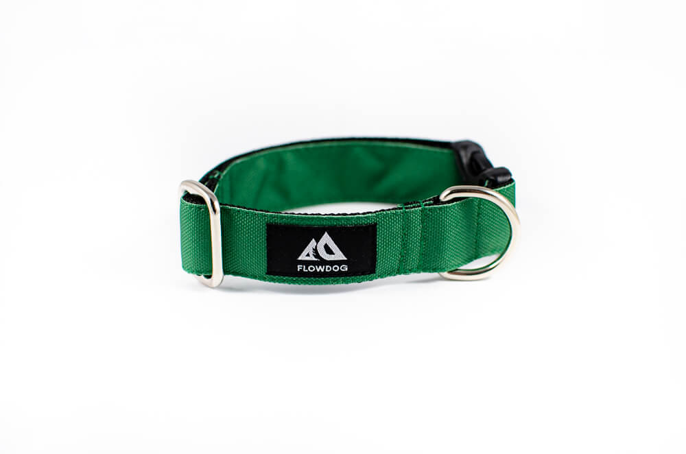 green dog collar with buckle