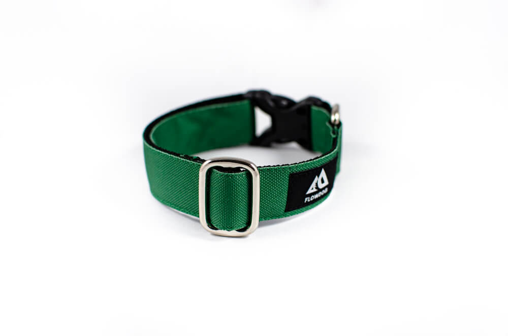 green dog collar with buckle