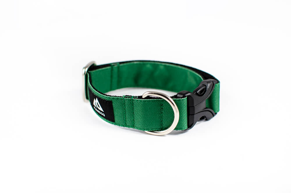 green dog collar with buckle