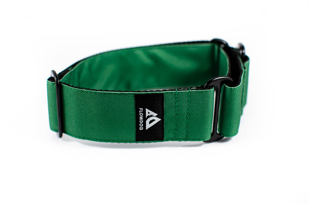 green martingale dog collar