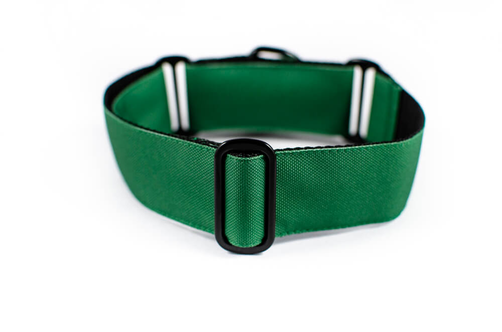 green martingale dog collar