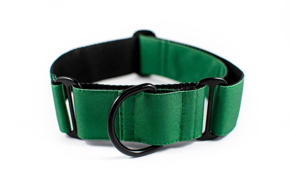 green martingale dog collar