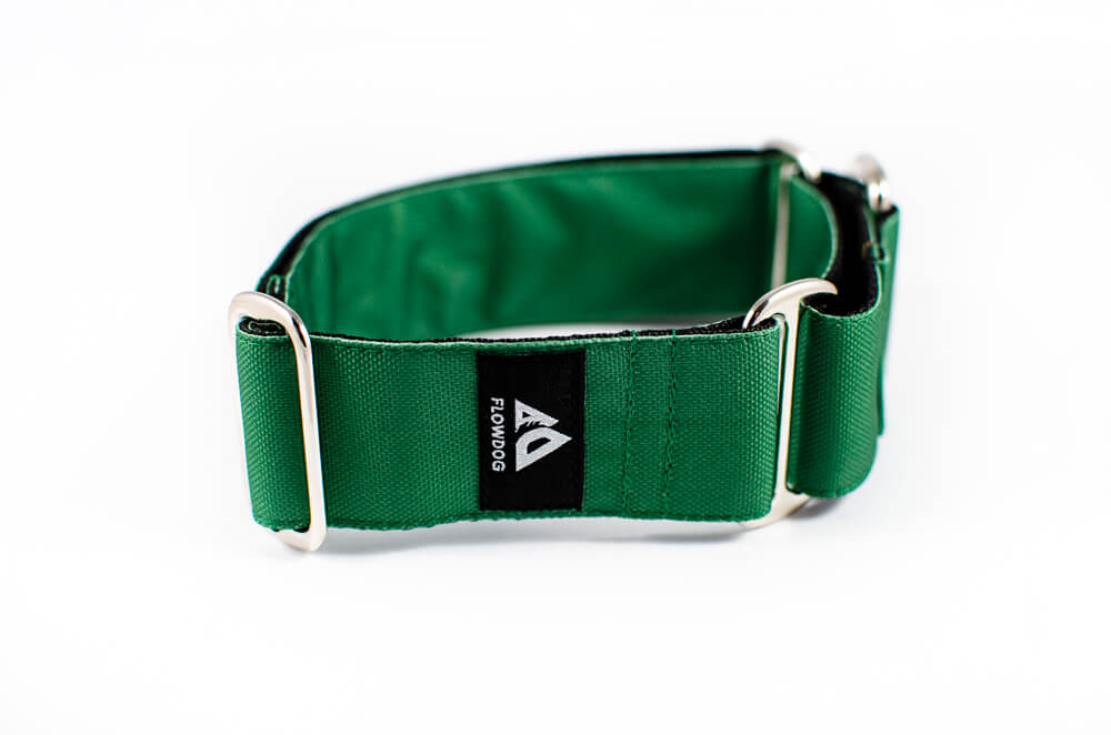 green martingale dog collar