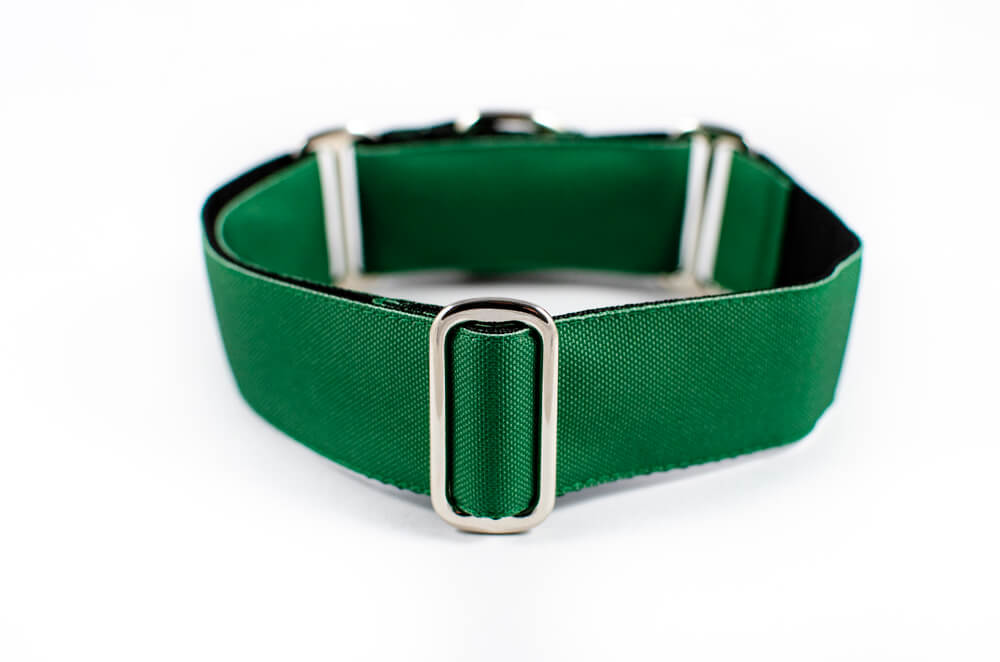 green martingale dog collar