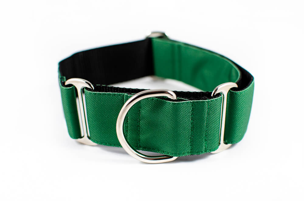 green martingale dog collar