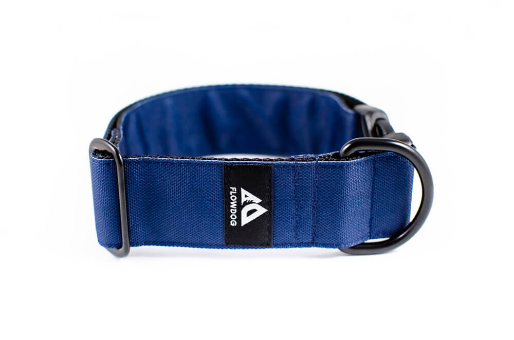 denim blue dog collar with buckle