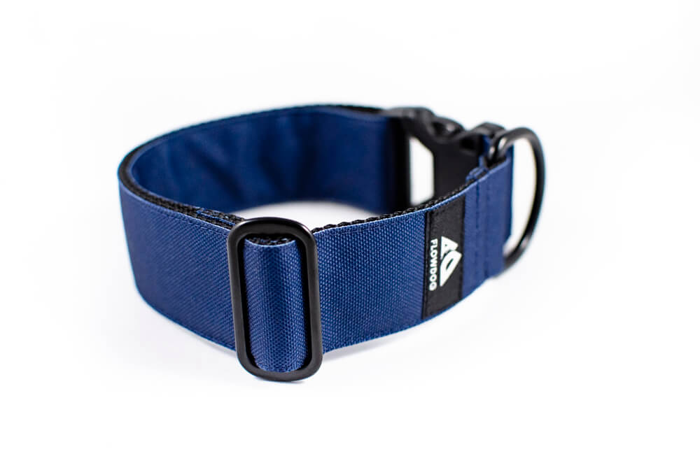 denim blue dog collar with buckle