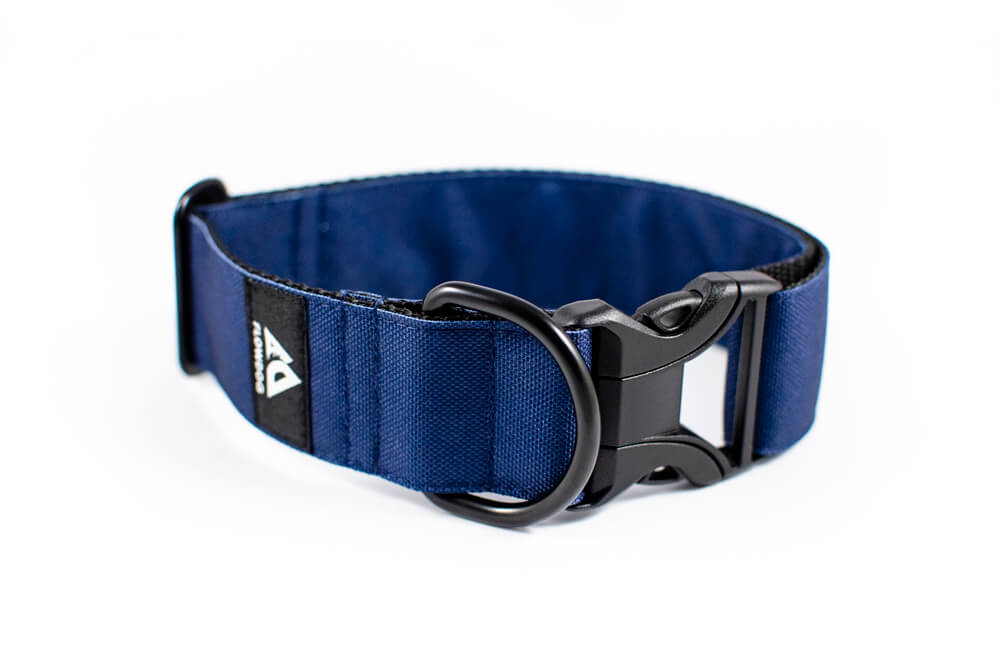 denim blue dog collar with buckle