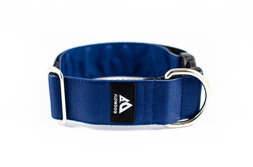 denim blue dog collar with buckle