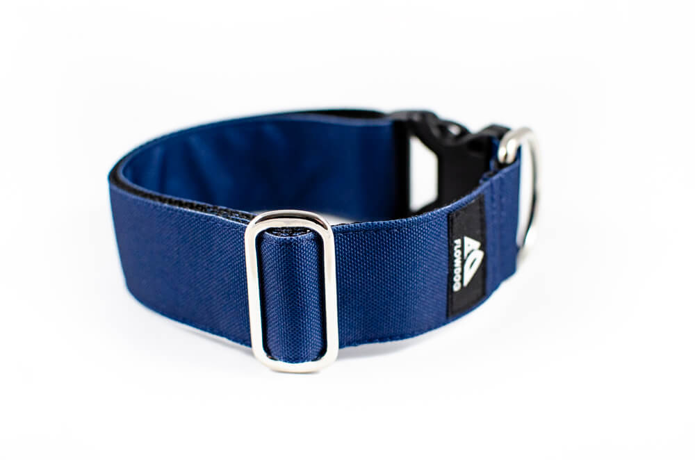 denim blue dog collar with buckle