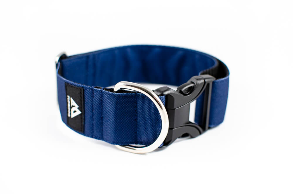 denim blue dog collar with buckle