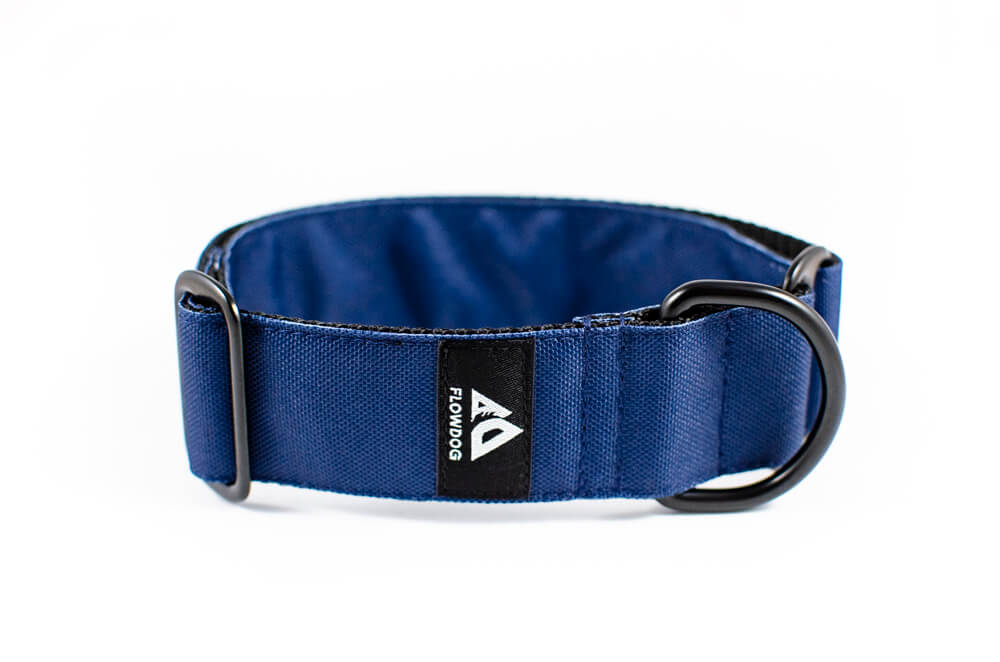 denim blue slip-on dog collar