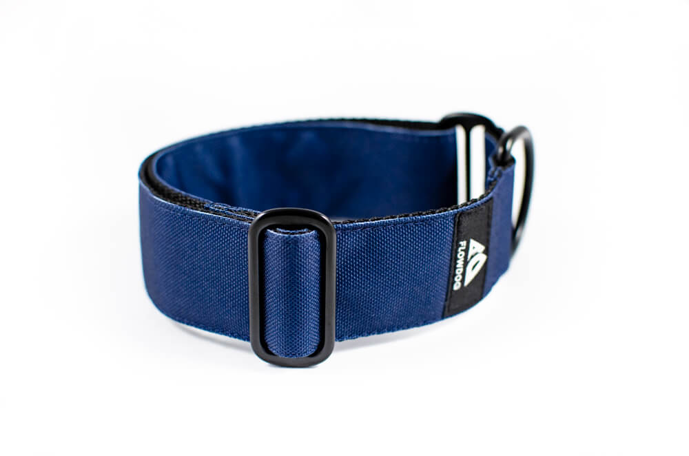 denim blue slip-on dog collar