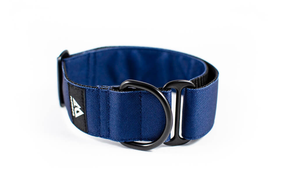 denim blue slip-on dog collar