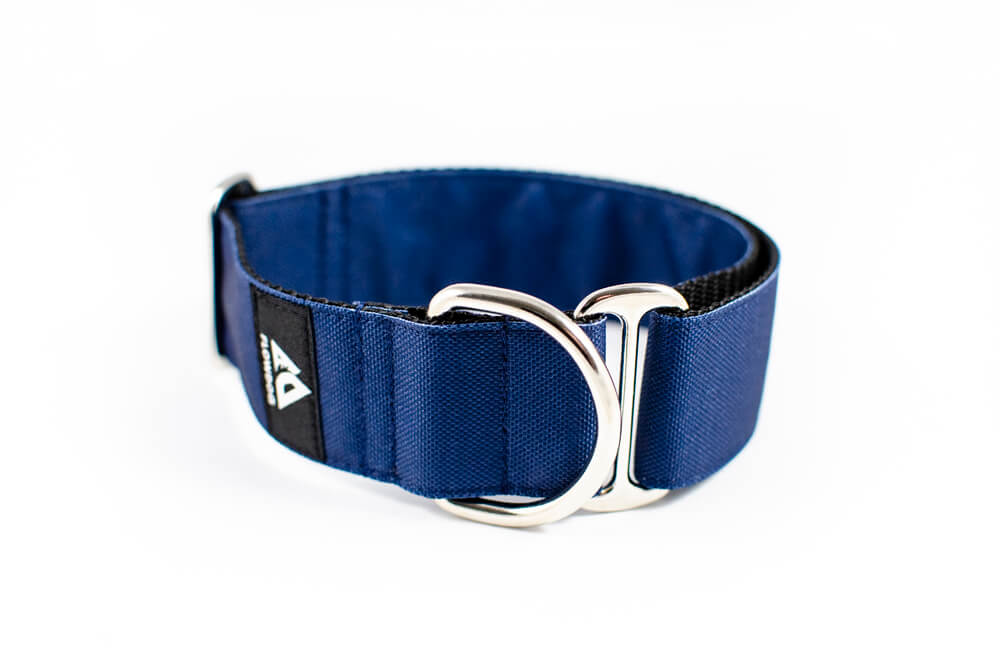 denim blue slip-on dog collar