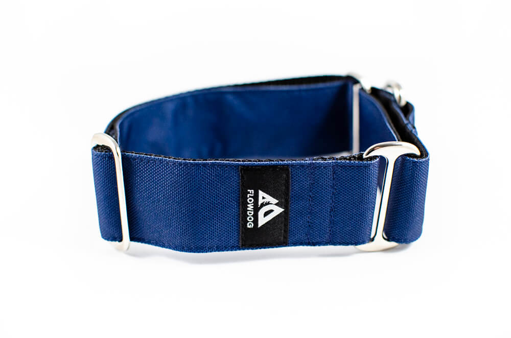 denim blue martingale dog collar