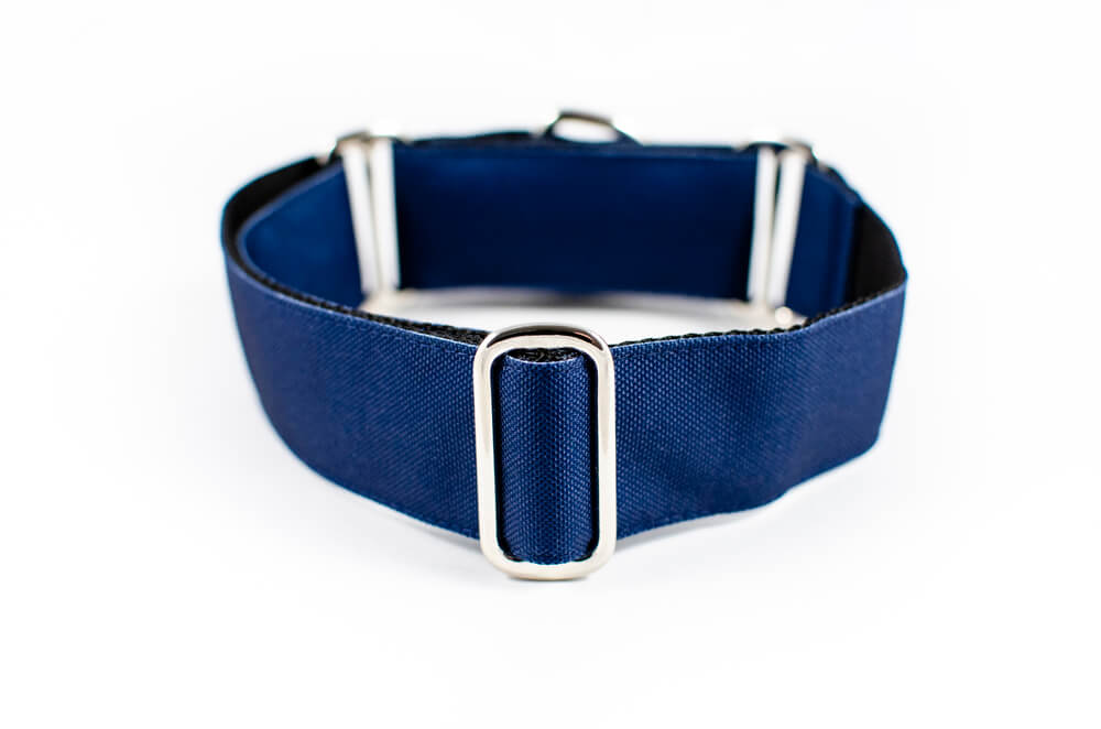 denim blue martingale dog collar