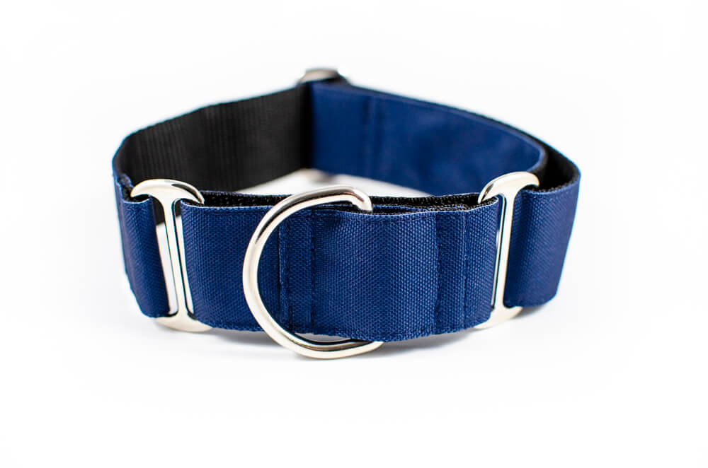 denim blue martingale dog collar