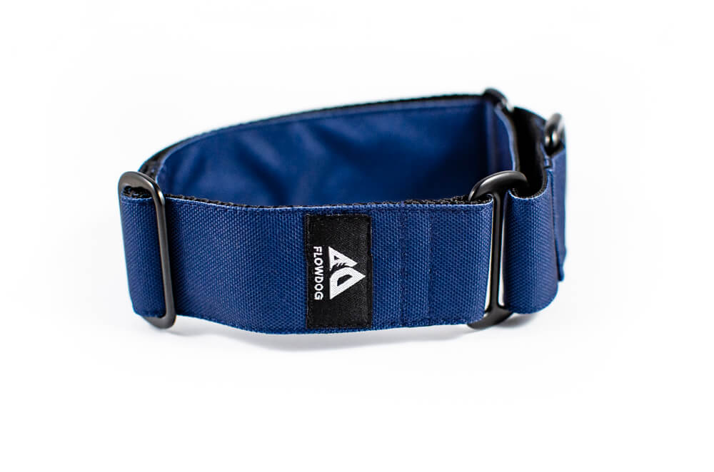 denim blue martingale dog collar