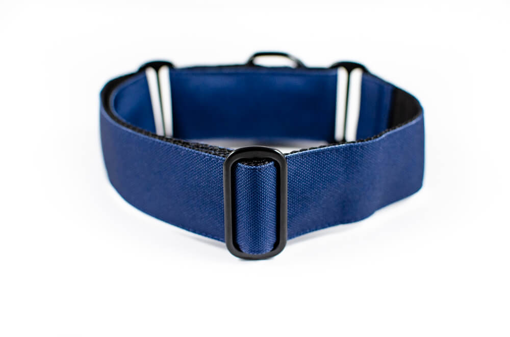 denim blue martingale dog collar