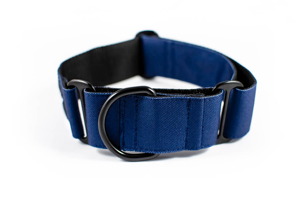 denim blue martingale dog collar