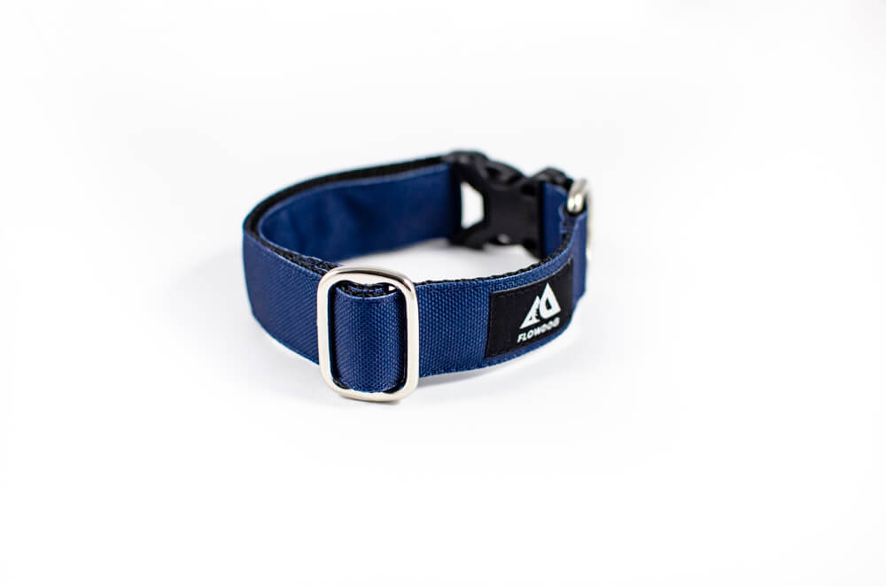 denim blue dog collar with buckle