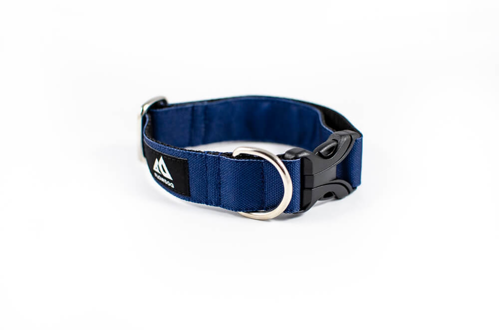 denim blue dog collar with buckle