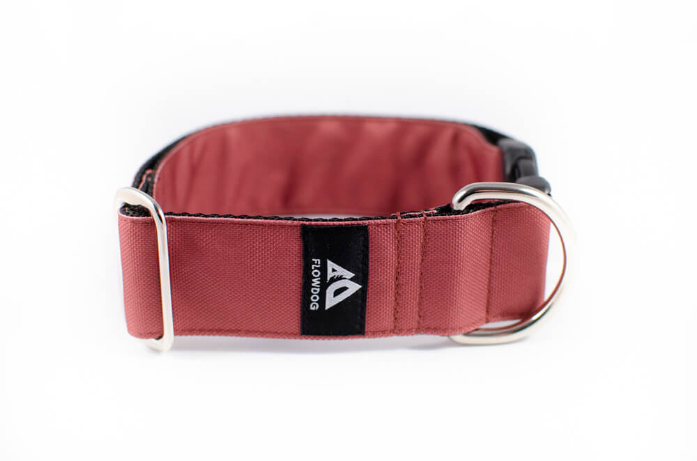 mauve dog collar with buckle