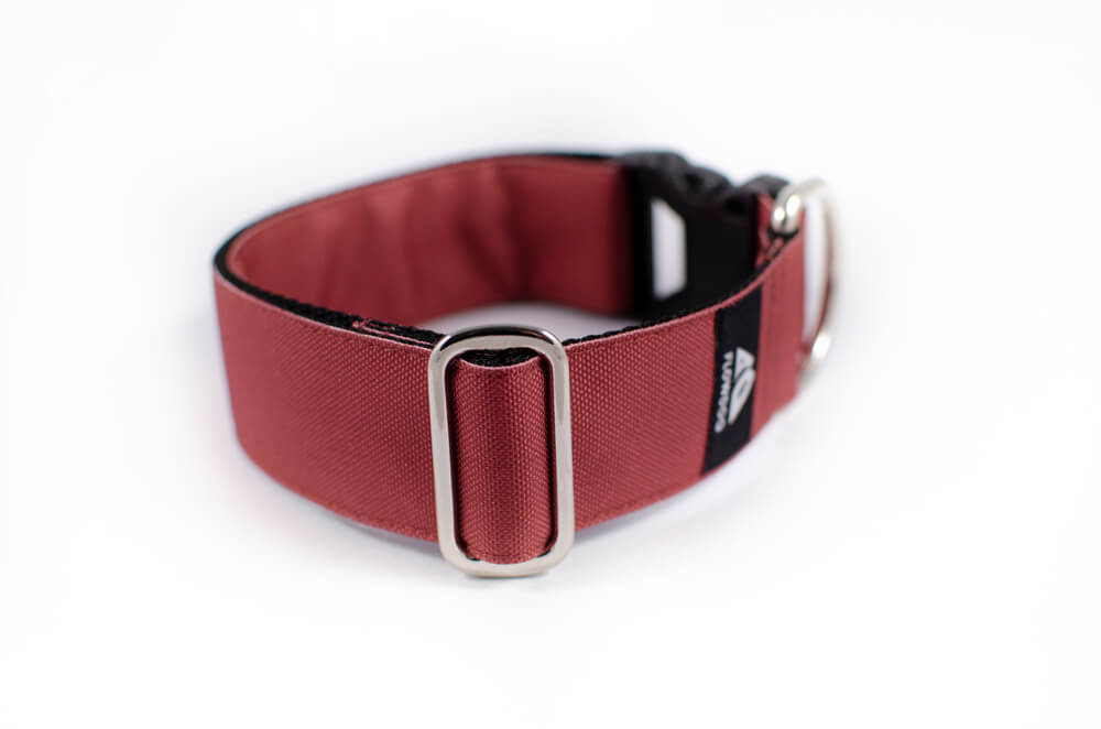 mauve dog collar with buckle