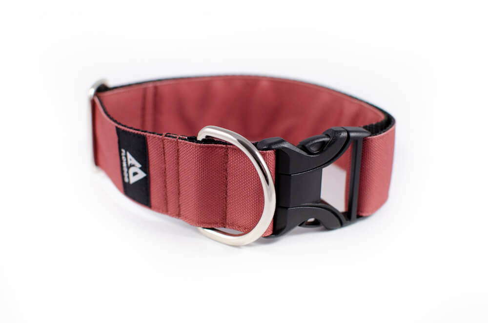 mauve dog collar with buckle