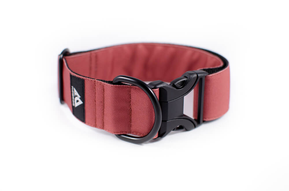 mauve dog collar with buckle