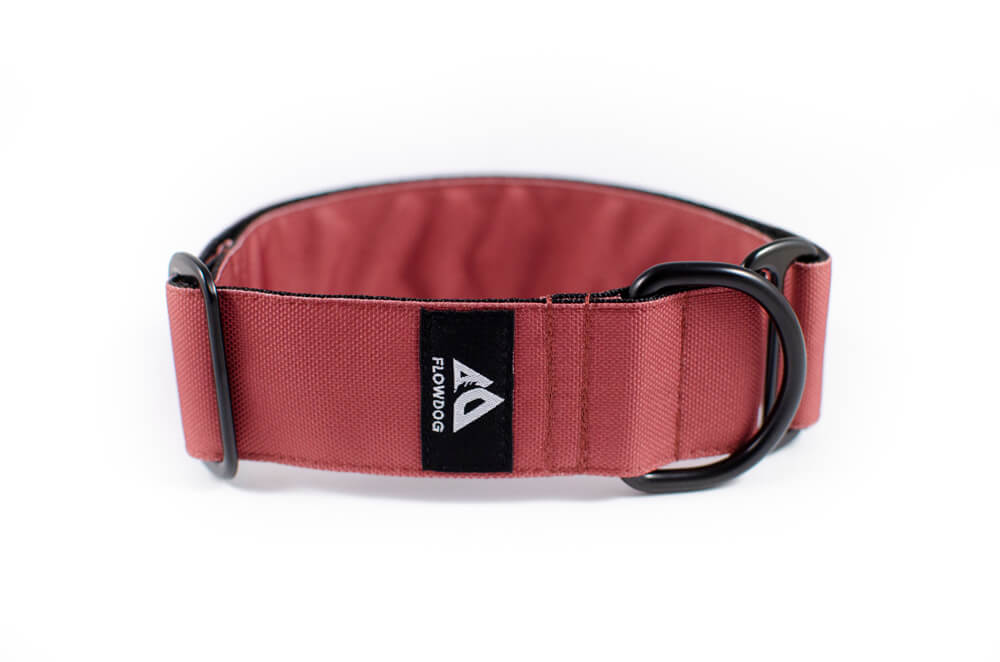 mauve slip-on dog collar