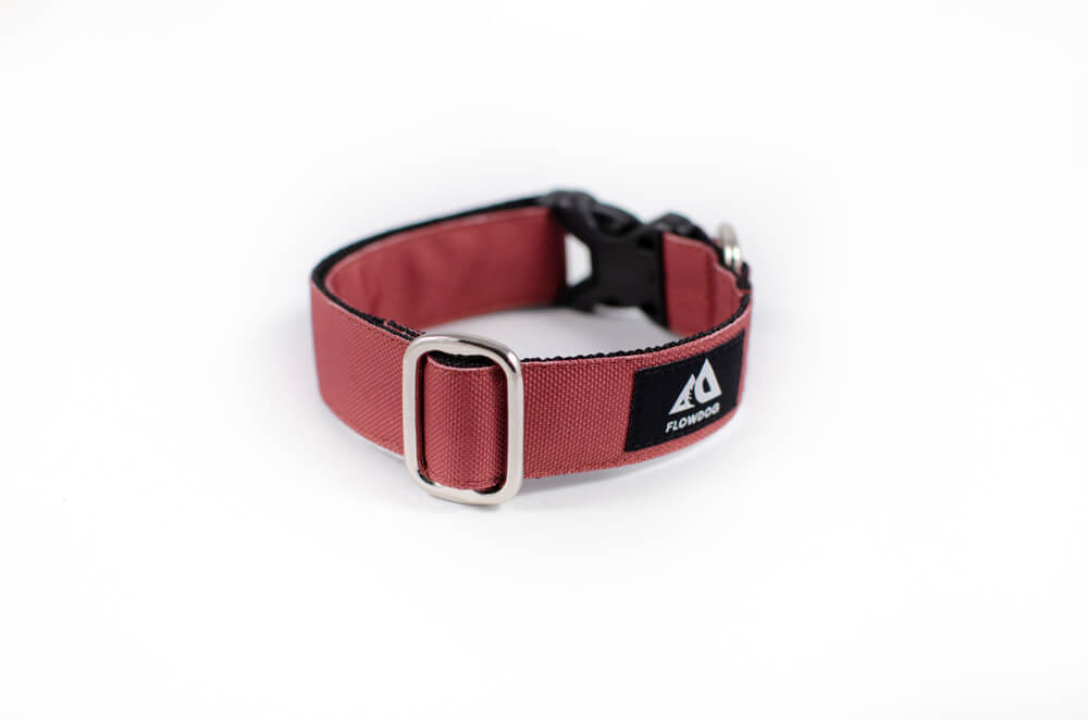 mauve dog collar with buckle