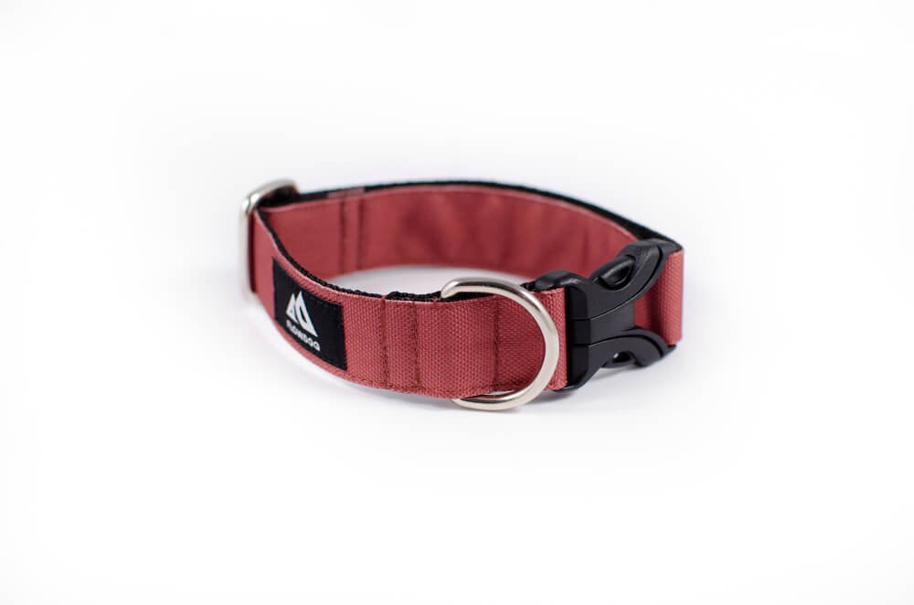 mauve dog collar with buckle